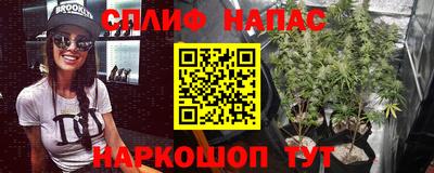 амф Новокубанск