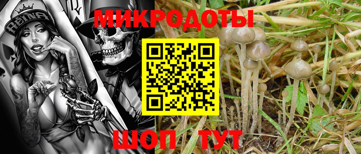 Галлюциногенные грибы Psilocybine cubensis  Вход с VPN  Псилоцибиновые грибы ЛСД  где купить наркоту  Советский 